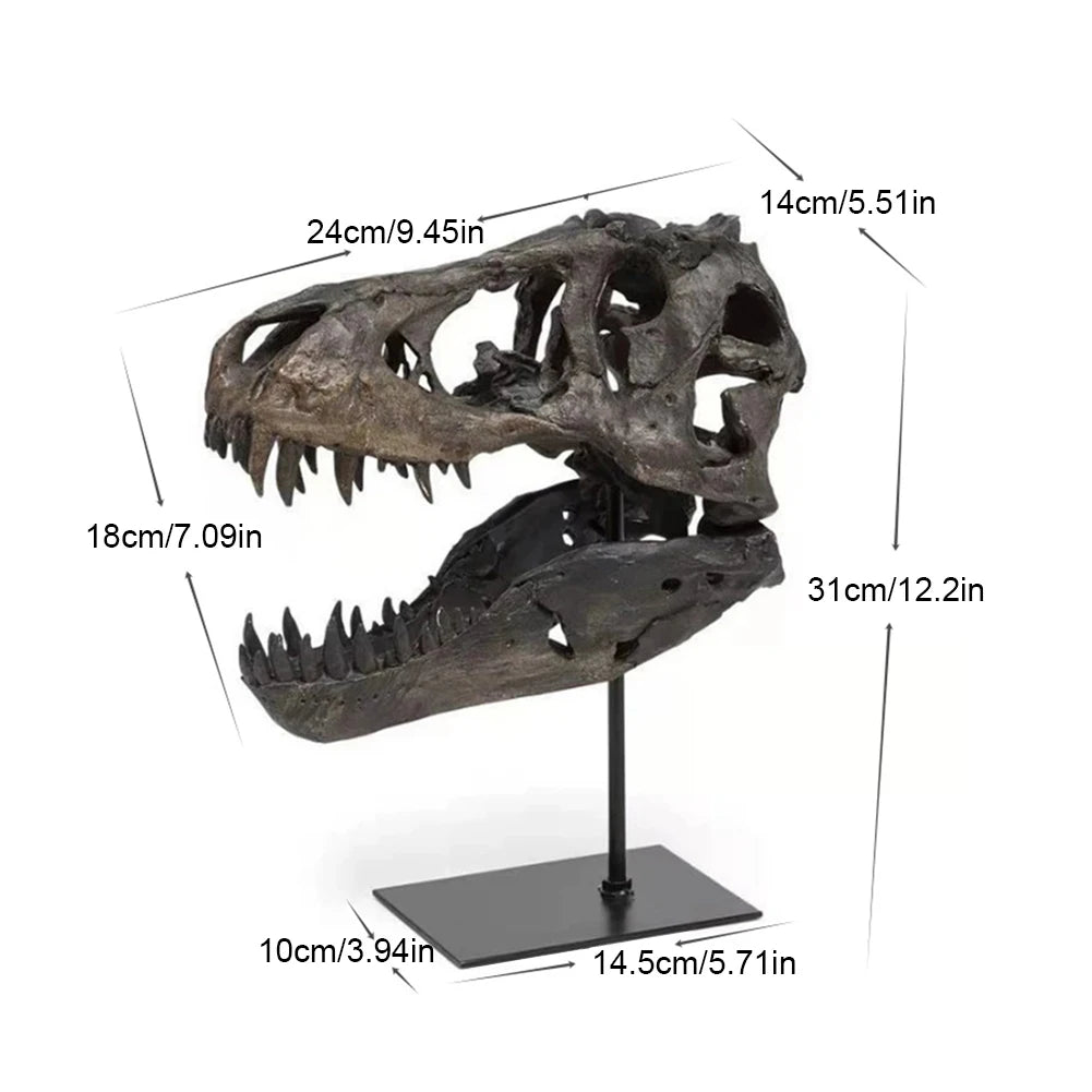 Dinosaur Fossil Figurine Resin Replica Head Sculptures with Bracket Skull Sculptures Home Office Decorations