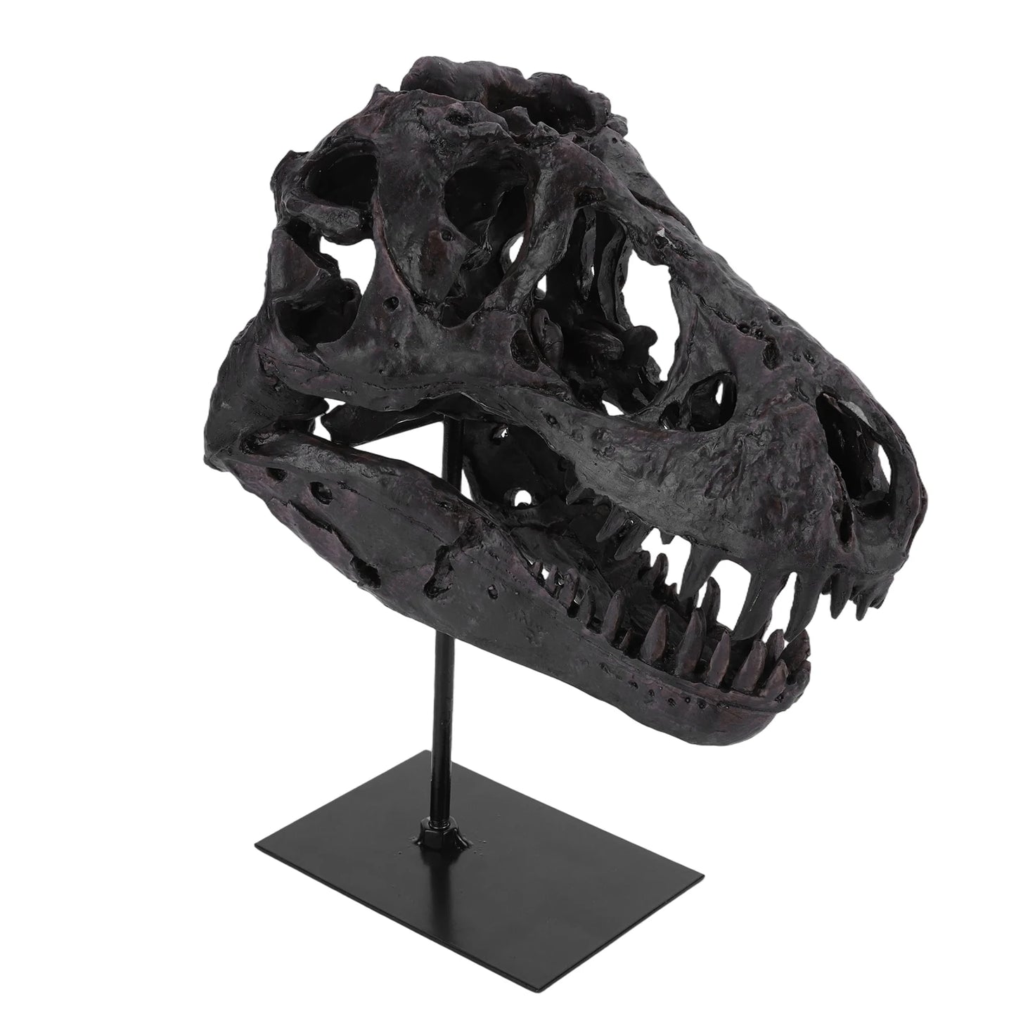 Dinosaur Fossil Figurine Resin Replica Head Sculptures with Bracket Skull Sculptures Home Office Decorations