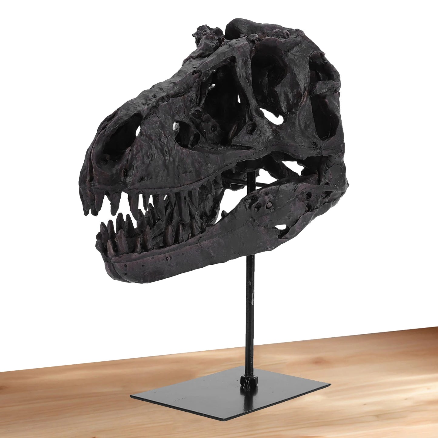 Dinosaur Fossil Figurine Resin Replica Head Sculptures with Bracket Skull Sculptures Home Office Decorations
